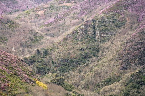 What Are the Best Practices for Small Business Succession Planning in the UK?